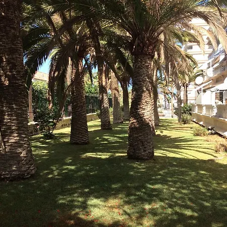 With Terrace In Playa De Americas Daire *